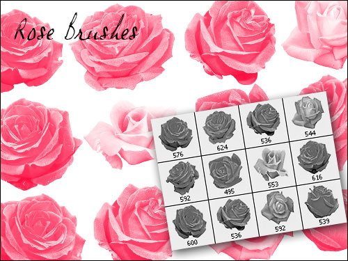 rose petals brush photoshop free download