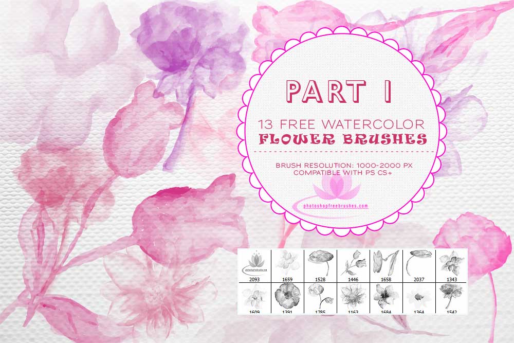 Watercolor Flower PS Brushes | PHOTOSHOP FREE BRUSHES