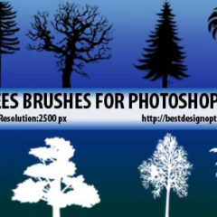 15 Tree Silhouettes Photoshop Brushes