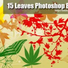 15 Exclusive Leaves Photoshop Brushes