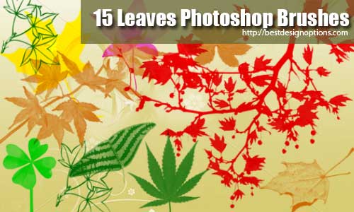 photoshop-brushes-leaves-02