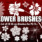 28 Hi-Res Flower Brushes for Photoshop