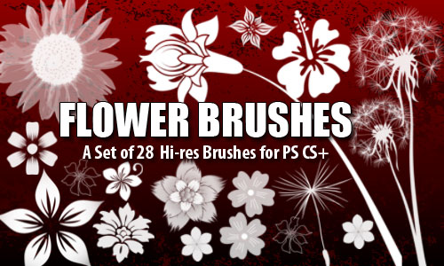 Flower Brushes for Photoshop