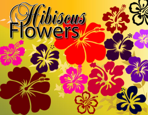 Hibiscus Flowers Photoshop Brushes