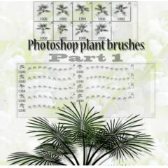9 High-Resolution Plants Photoshop Brushes