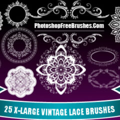 25 Vintage Lace Photoshop Brushes Part 2