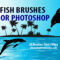 28 Fish Clip Art Photoshop Brushes
