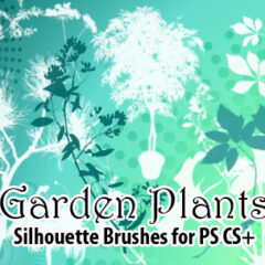 24 Garden Plants Photoshop Brushes