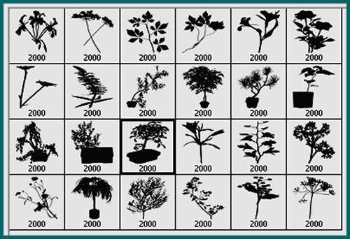 garden-plants