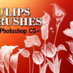 12 Tulip Flowers Photoshop Brushes