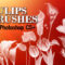 12 Tulip Flowers Photoshop Brushes