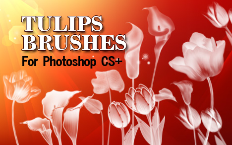 tulip flowers photoshop brushes