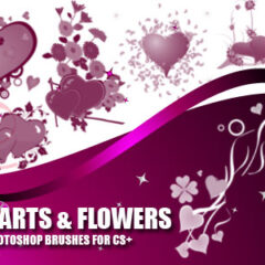 21 Hearts and Flower Photoshop Brushes