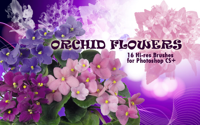 orchid flower Photoshop brushes