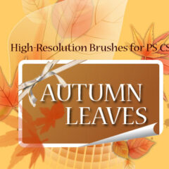 15 Hi-Res Autumn Leaves Photoshop Brushes
