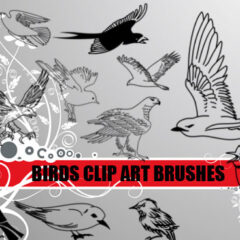 21 Bird Clip Art Photoshop Brushes