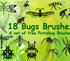 18 Insect Clip Art Brushes