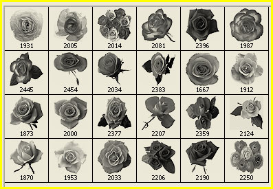 rose clip art Photoshop brushes