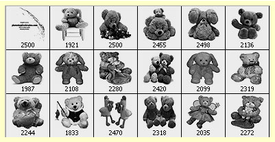 teddy bear clip art Photoshop brushes