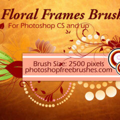 18 Floral Frame Photoshop Brushes