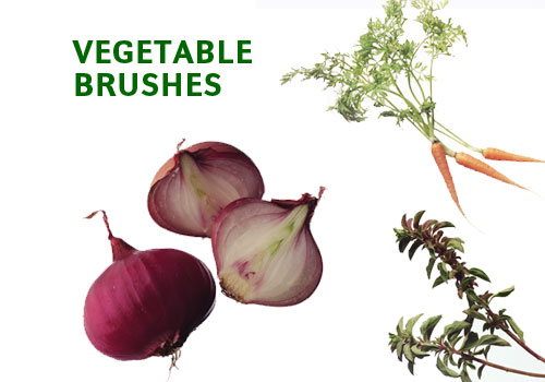 vegetable pictures photoshop brushes