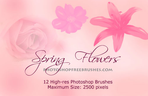 spring flowers photoshop brushes