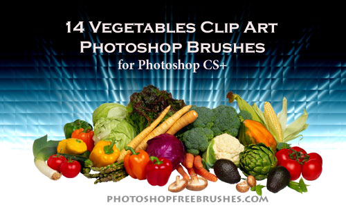 vegetable clip art Photoshop brushes