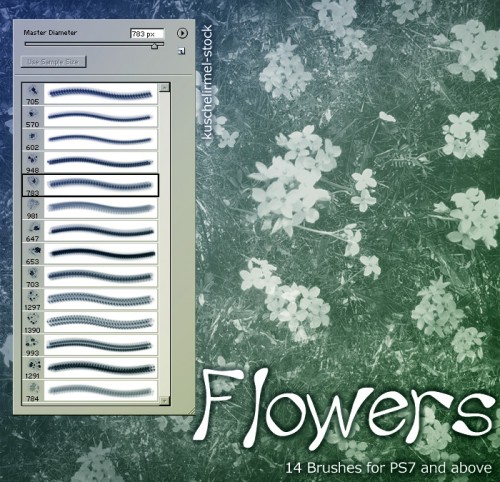 free flower photoshop brushes