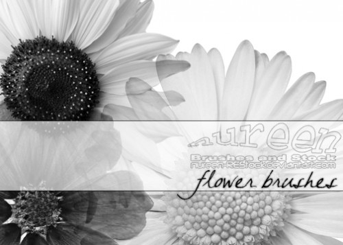 free flower photoshop brushes