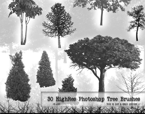 tree photoshop brushes