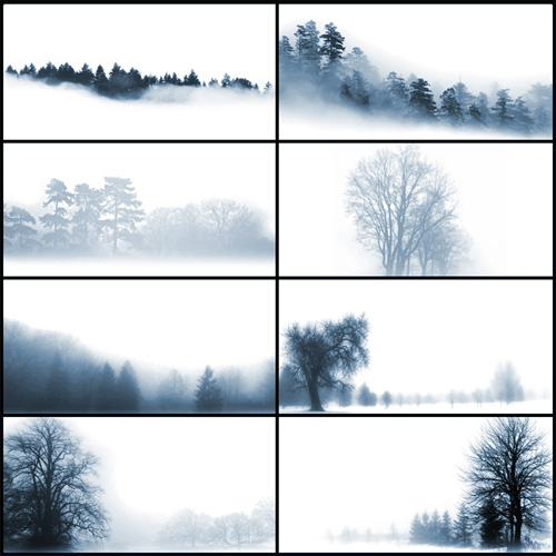 tree photoshop brushes