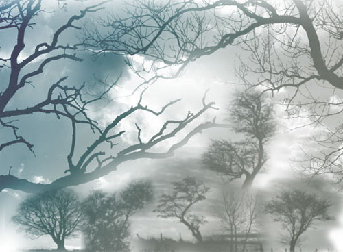 tree photoshop brushes