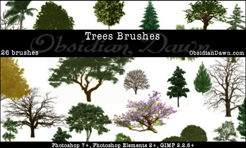 photoshop tree brushes