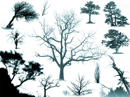 tree photoshop brushes