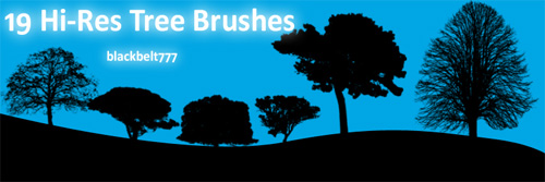 tree photoshop brushes