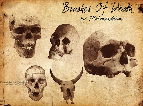 skull photoshop brushes