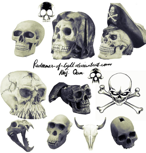 skull photoshop brushes