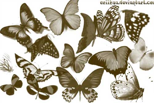 butterfly photoshop brushes