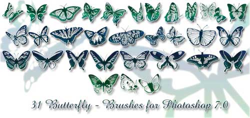 butterfly photoshop brushes