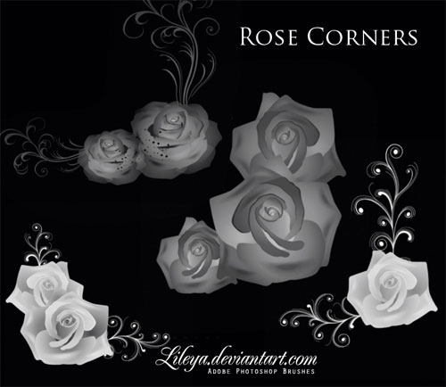 rose photoshop brushes