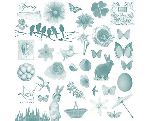 butterflies and spring flowers photoshop brushes