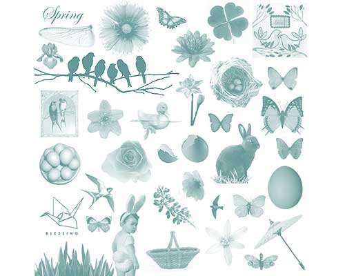 butterflies and spring flowers photoshop brushes