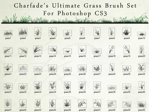 grass background photohop brushes