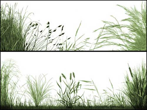 grasslands photoshop brushes