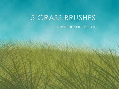 grass-photoshop-brushes