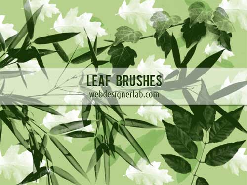 bamboo leaf photoshop brushes