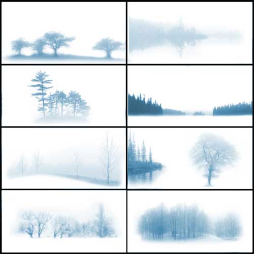 misty trees roads photoshop brushes