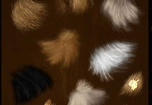 animal fur photoshop brushes