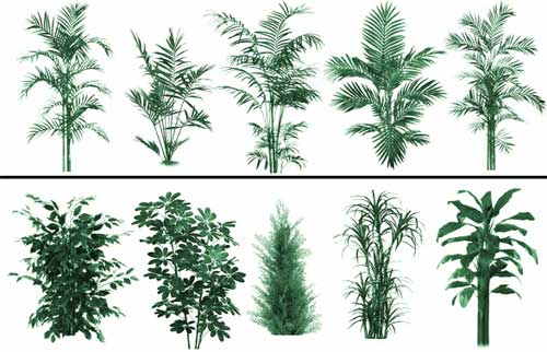 plant foliage photoshop brushes