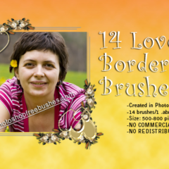 14 Lovely Floral Border Brushes Free to Download